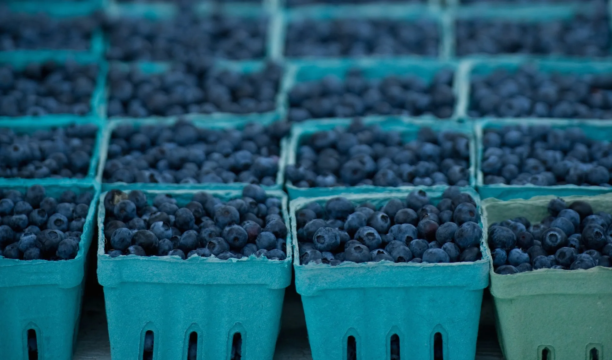 Blueberries