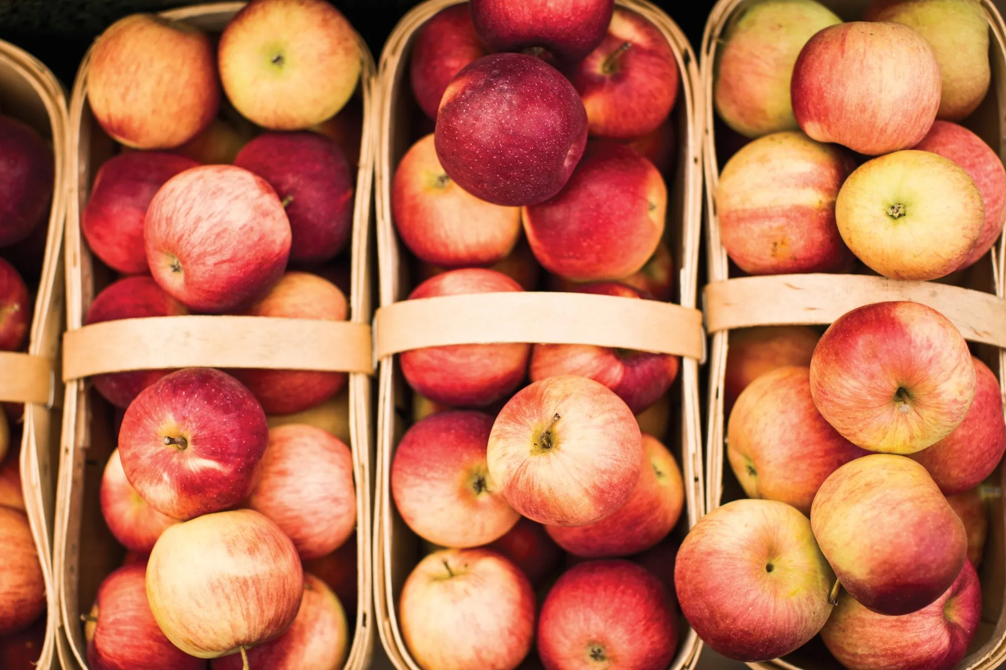 Apples