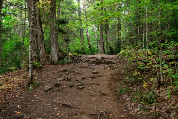 Ragged Falls