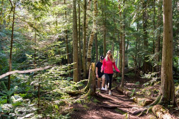 Limberlost