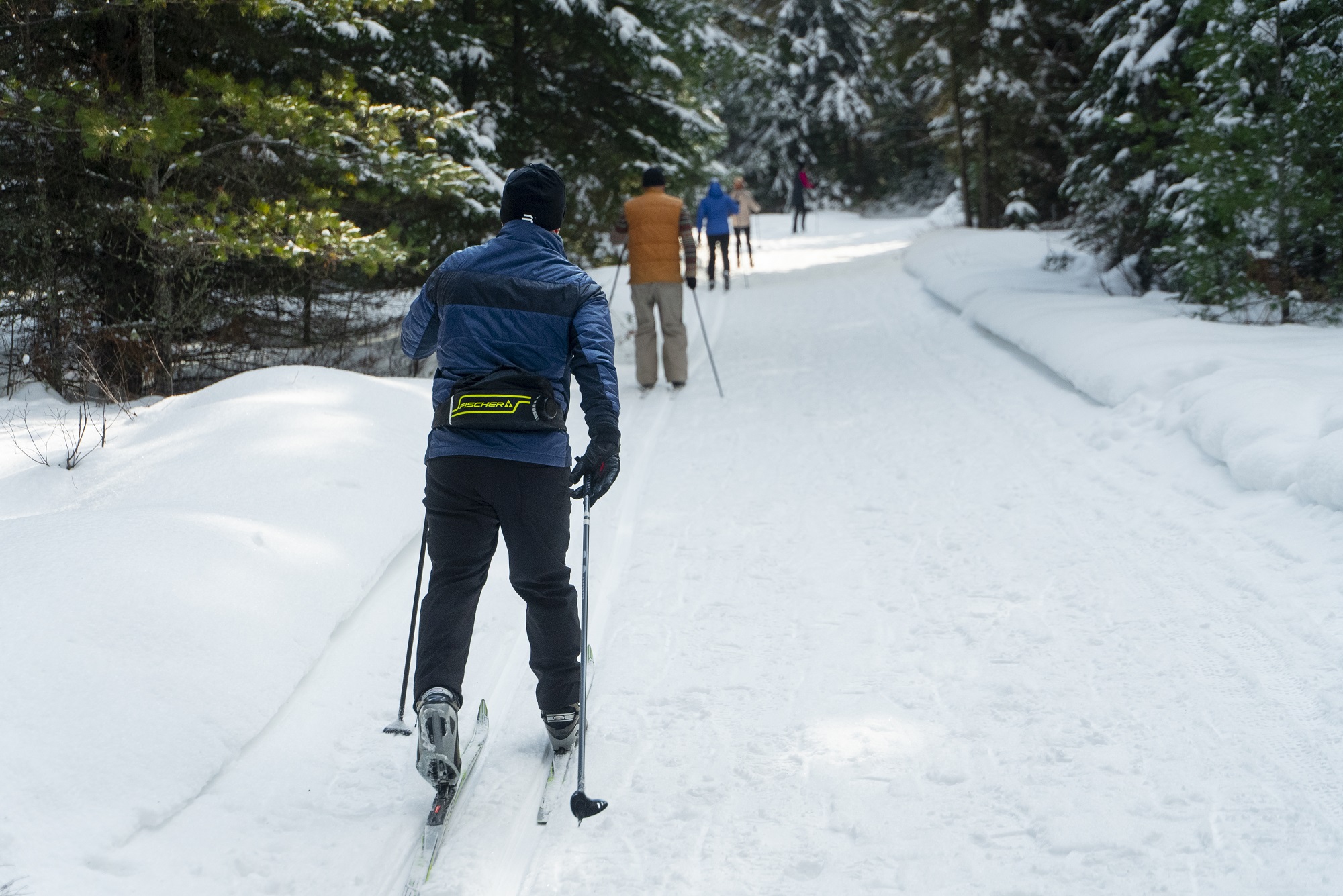 Algonquin Park Skiing