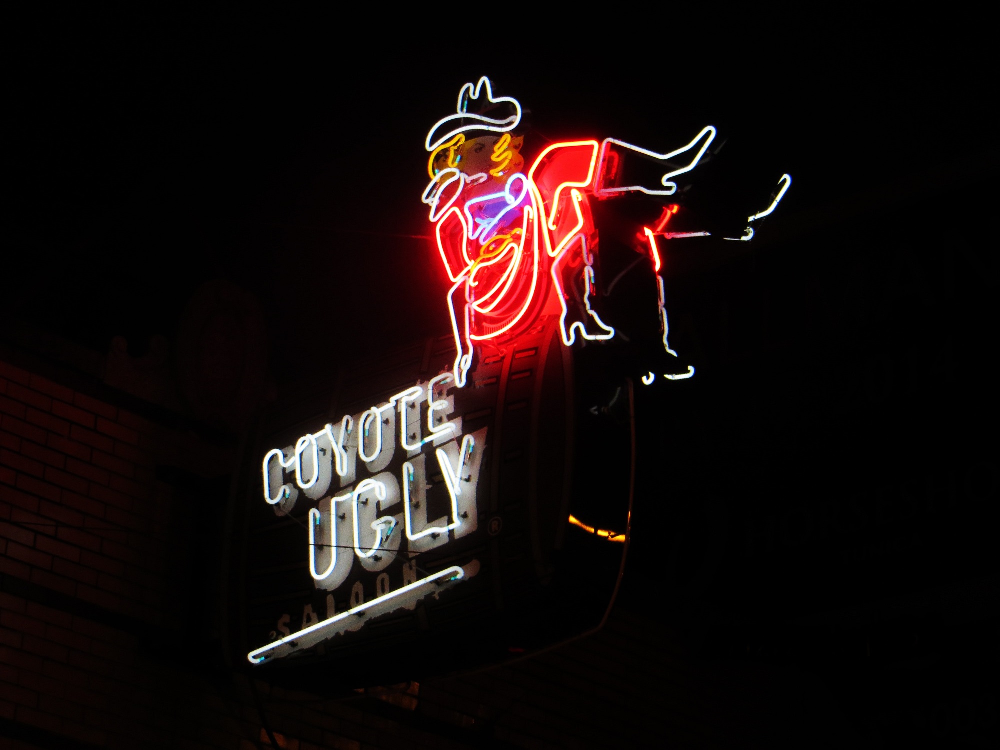 Coyote Ugly Sign