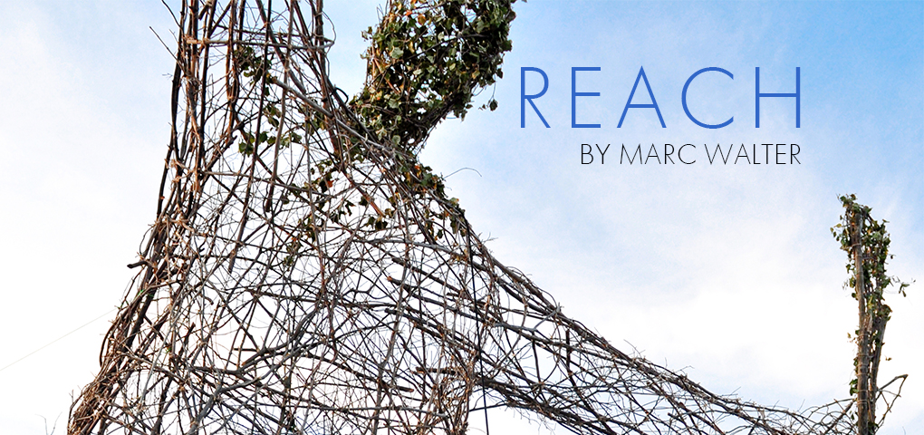Reach Poster