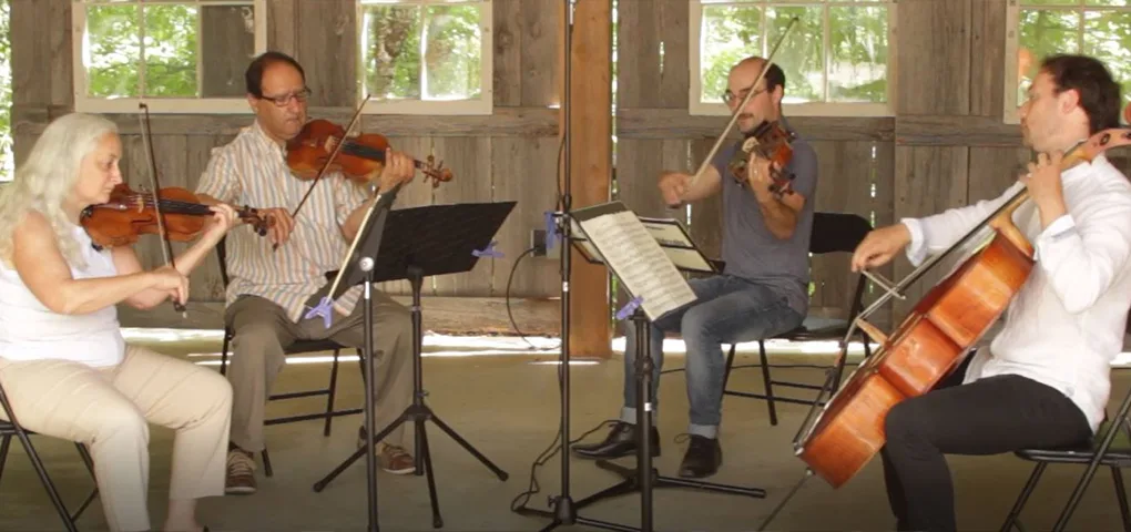 Violin Performance