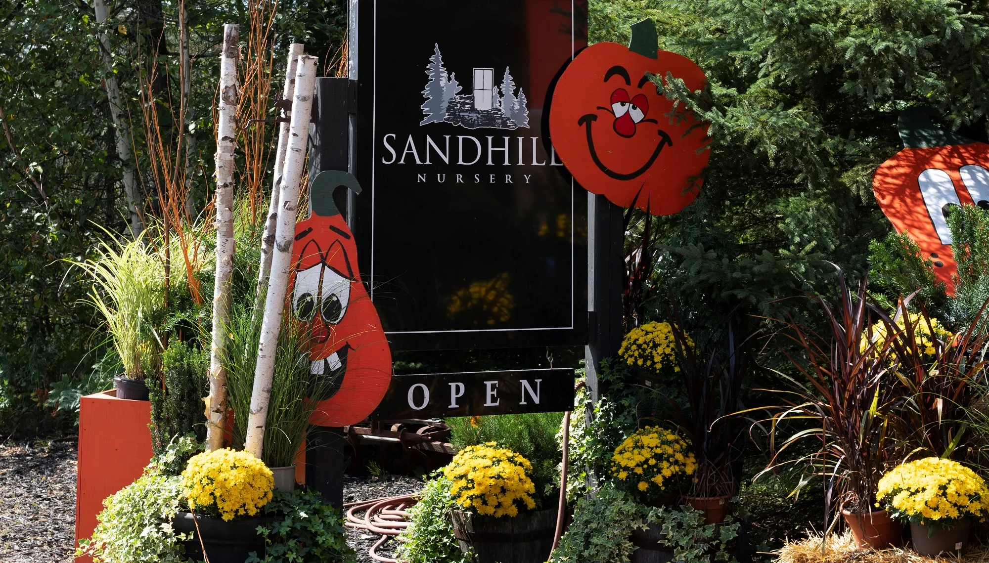 Sandhill Nursery