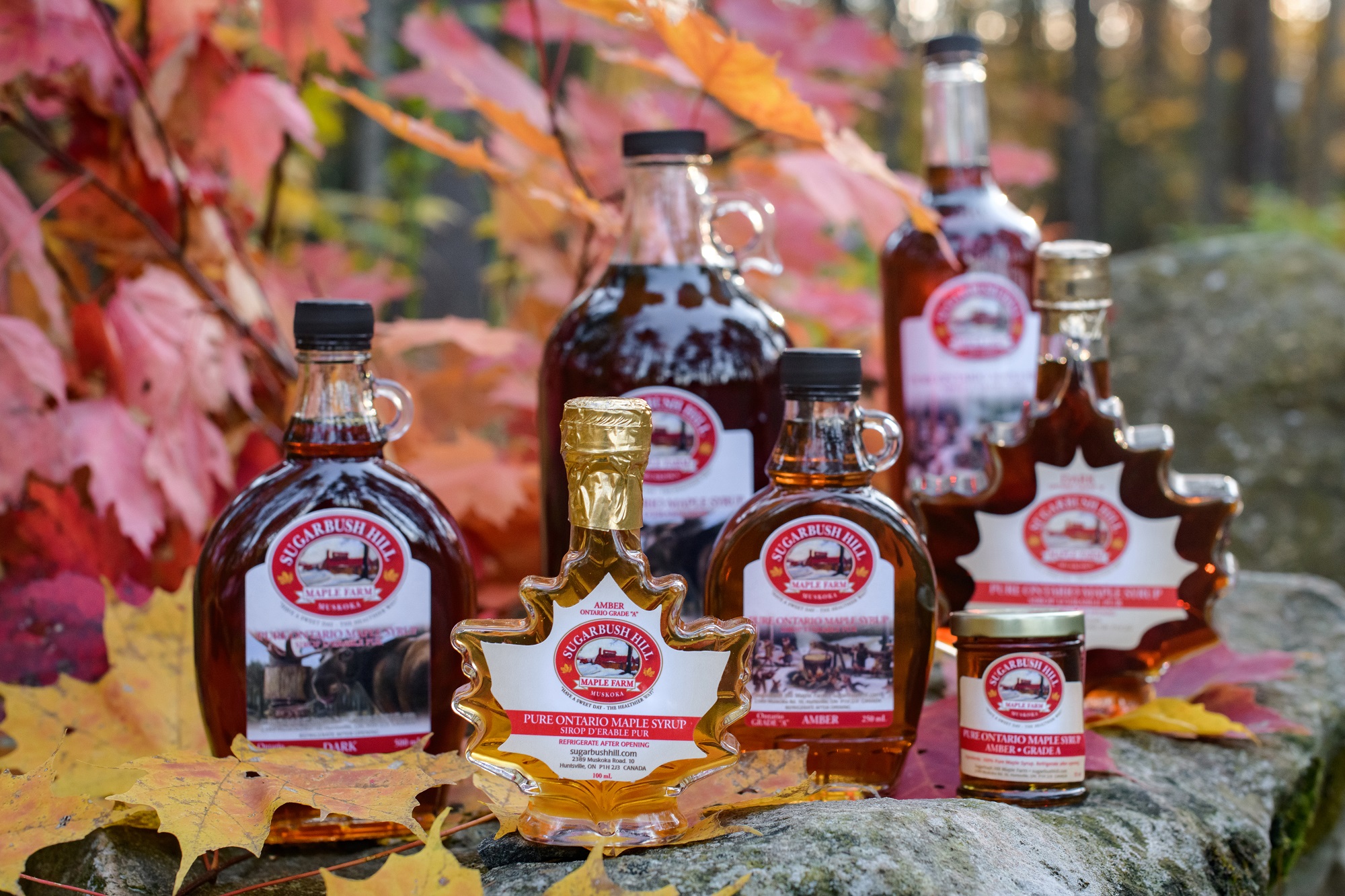 Maple Syrup