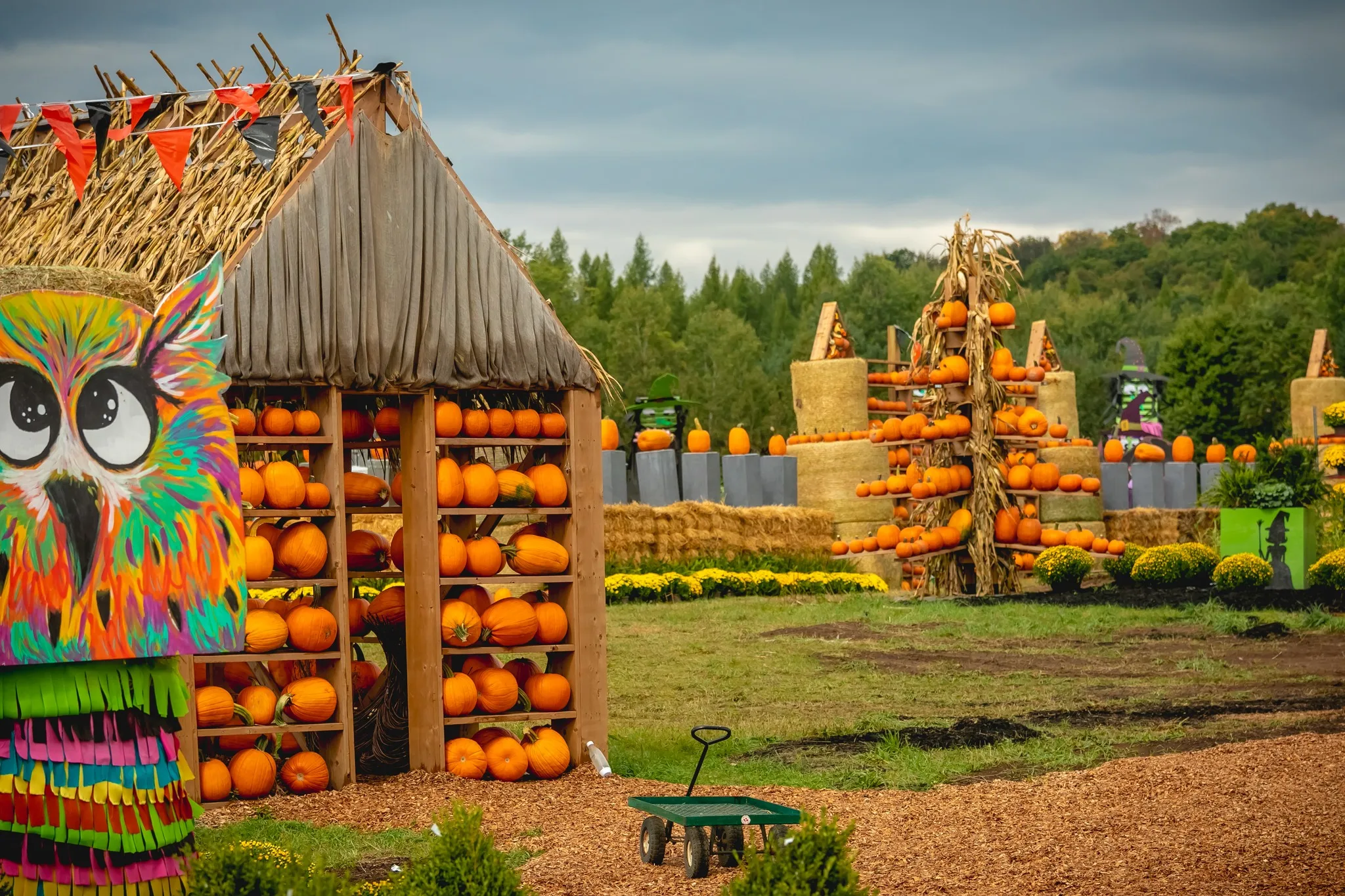 Sandhill Nursery Fall Festival