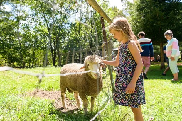 Muskoka Heritage Place Animals