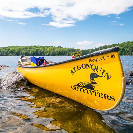 Canoe