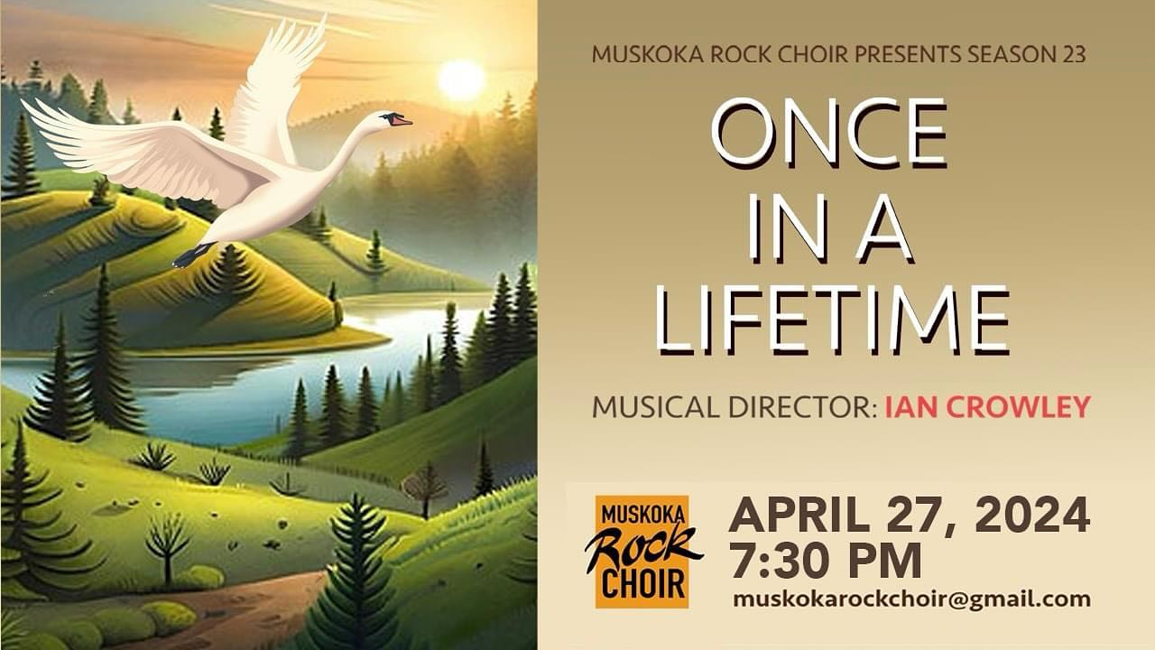 Once in a Lifetime
