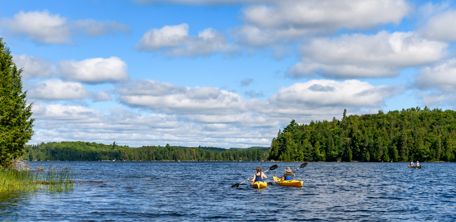 algonquin algonquin