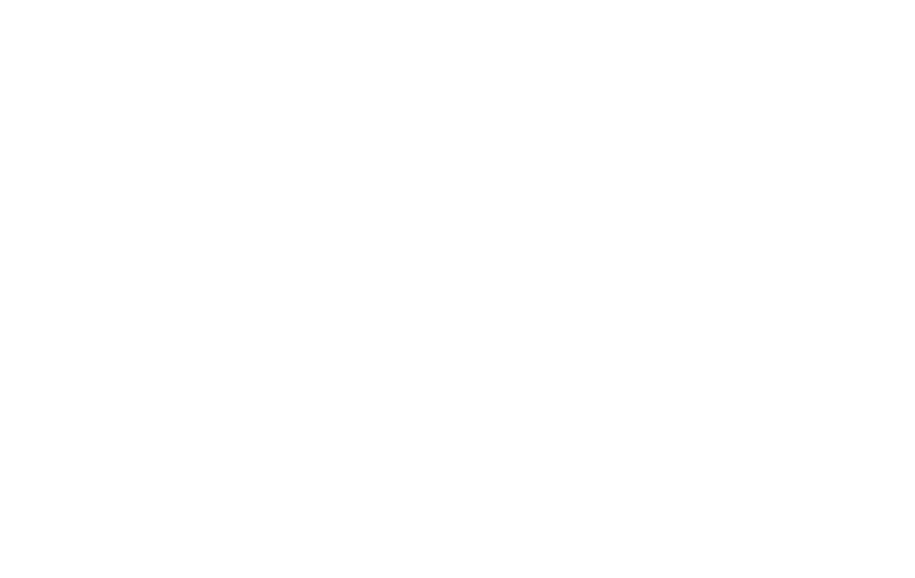 forest of light