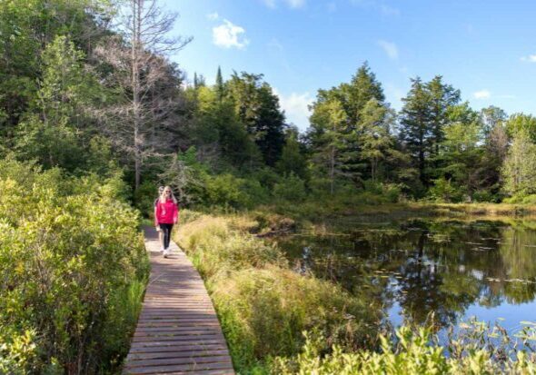 Outdoor Enthusiast - Hiking